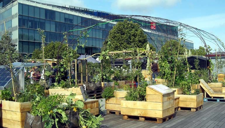 1000 arbres pour le climat – Paris du 2 au 13 Decembre 2015