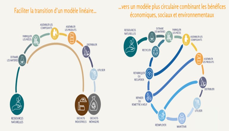 Intégrer l’économie circulaire dans les entreprises (Part I) – Sandrine Hosti